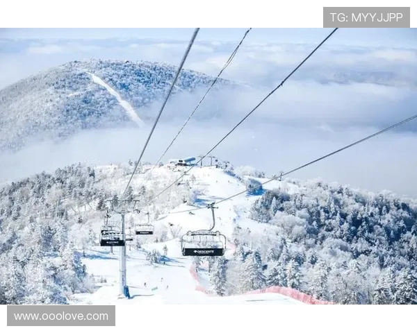 全球顶级滑雪场索道系统的抗风性能测